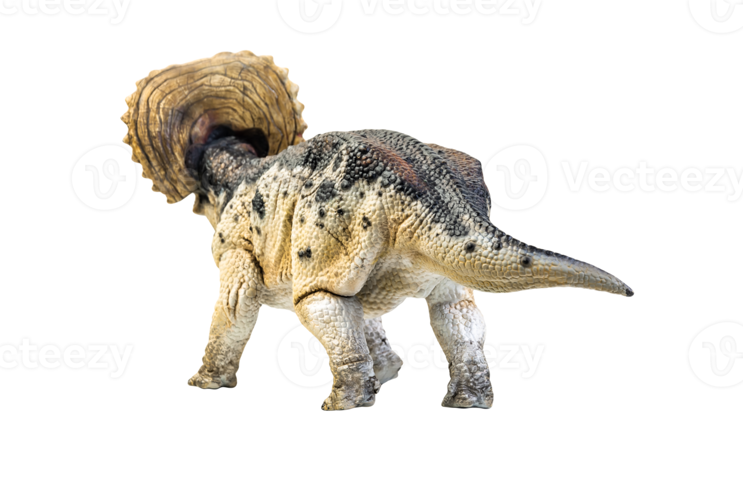 dinosaur , Triceratops on isolated background png