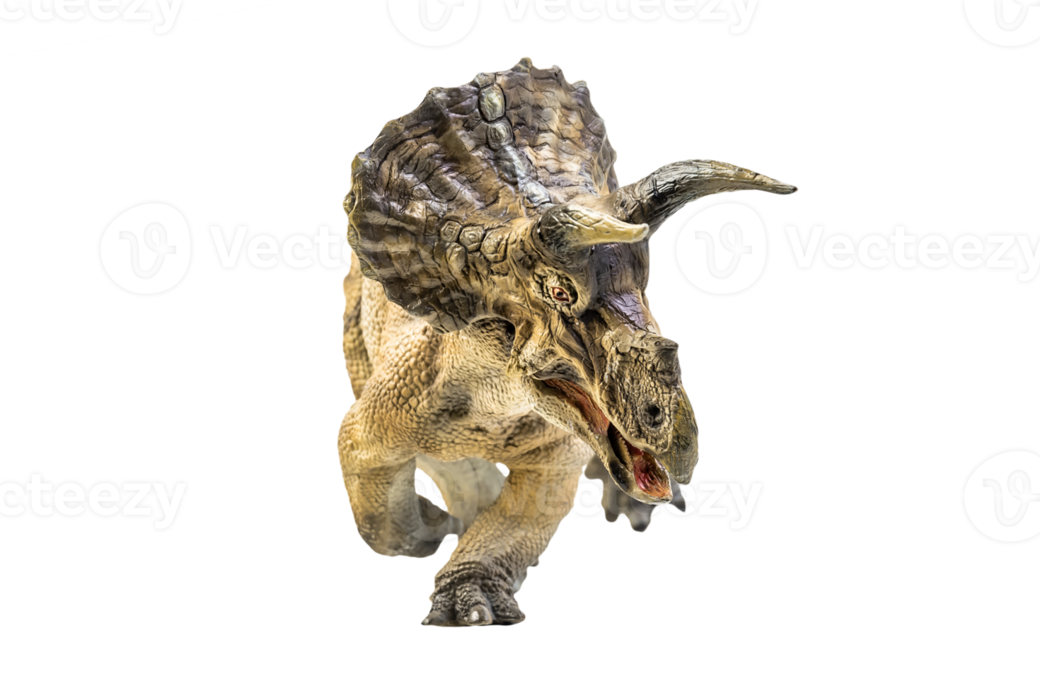 dinosaur , Triceratops on isolated background png