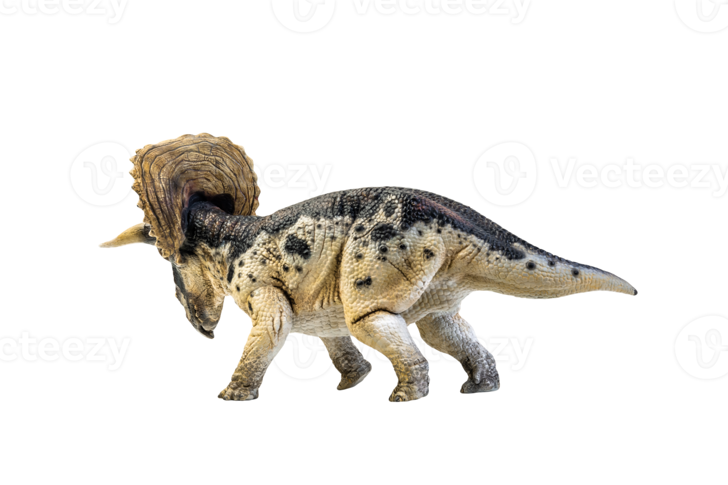 dinosaur , Triceratops on isolated background png