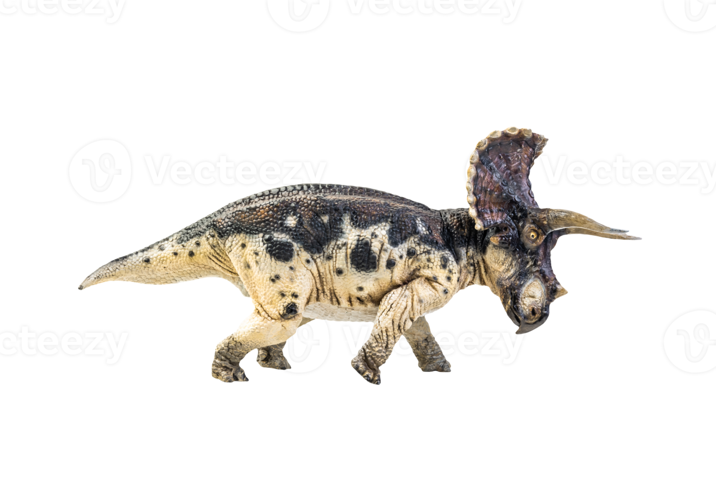 dinosauro , triceratopo su isolato sfondo png