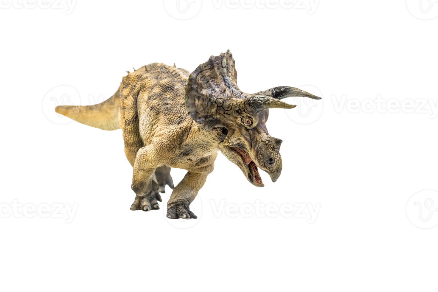 dinosaur , Triceratops on isolated background png