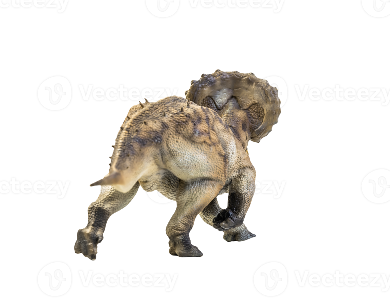 dinosaur , Triceratops on isolated background png