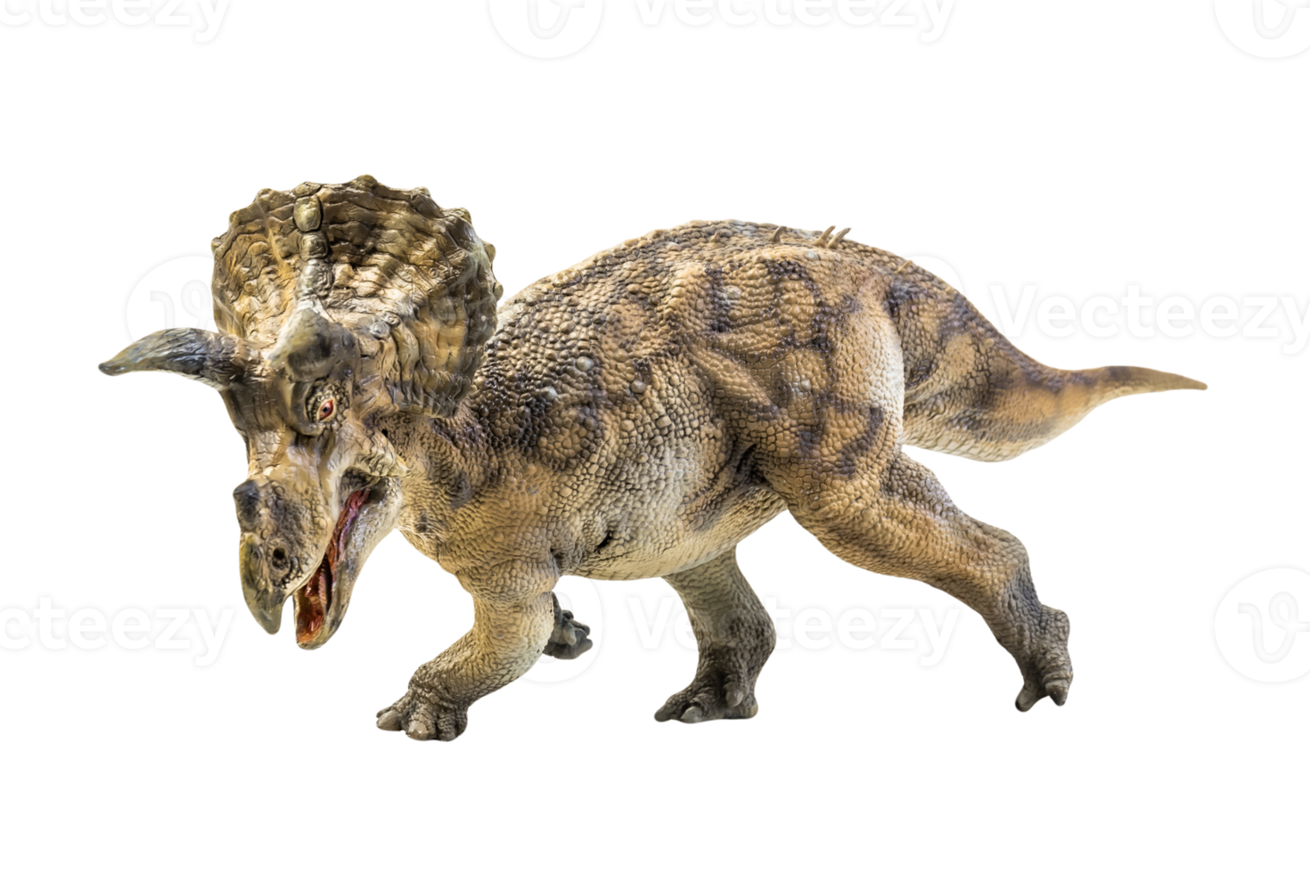 dinosaur , Triceratops on isolated background png