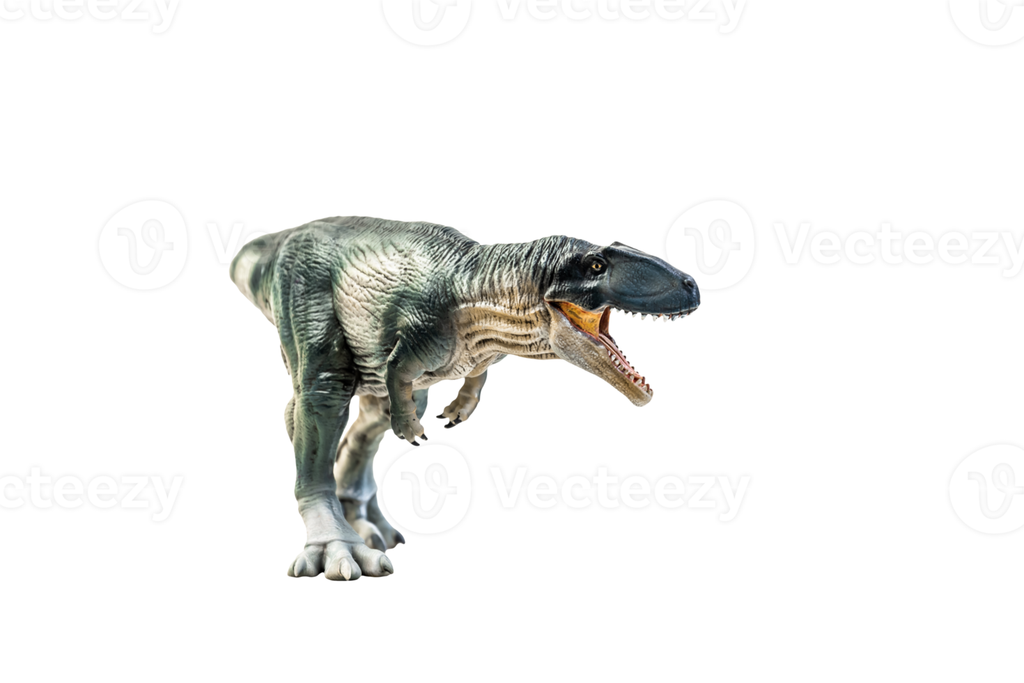 dinosaur , Giganotosaurus on isolated background png