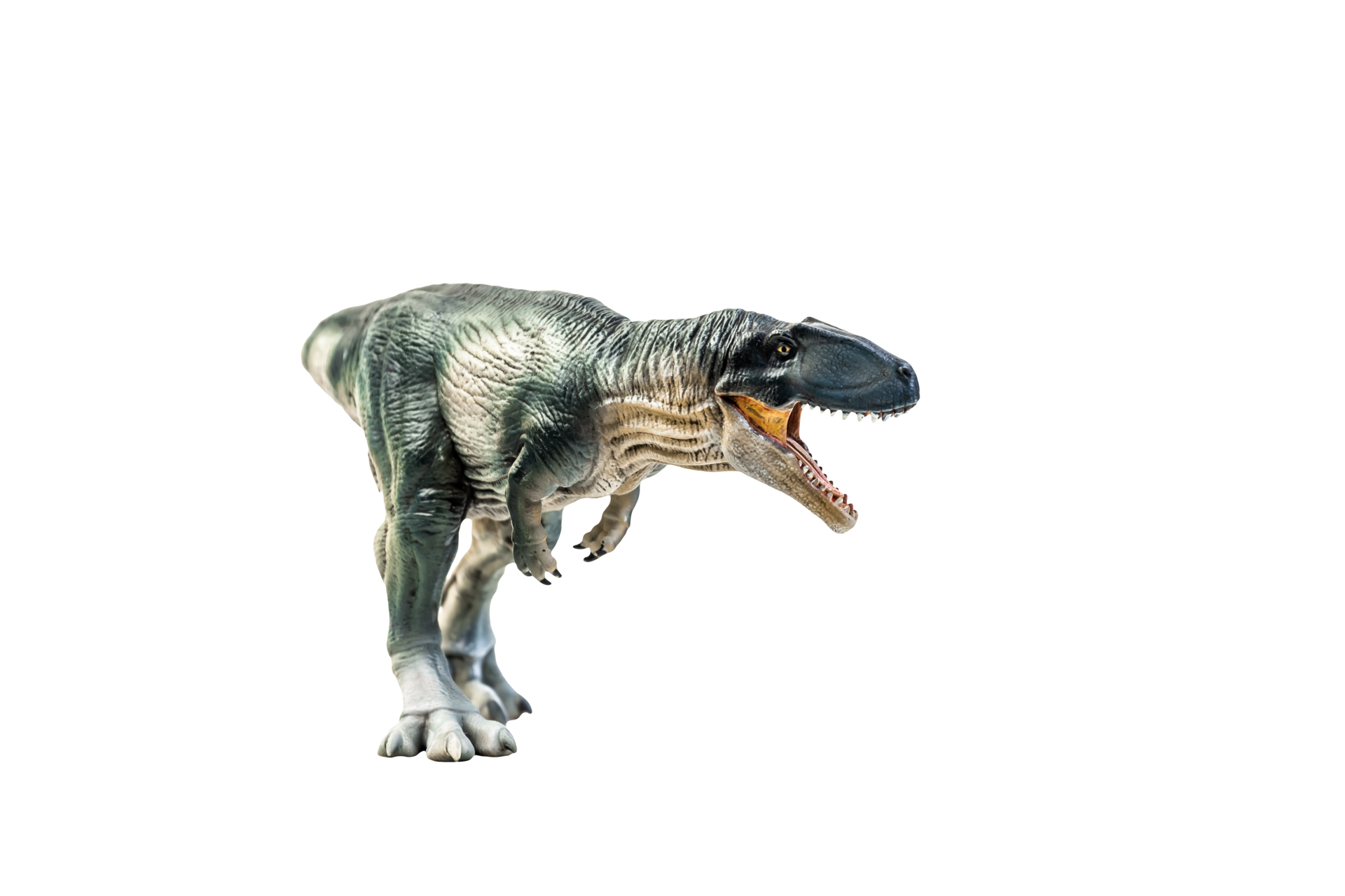 Fileavaceratops Dinosaur Png Wikimedia Commons - vrogue.co
