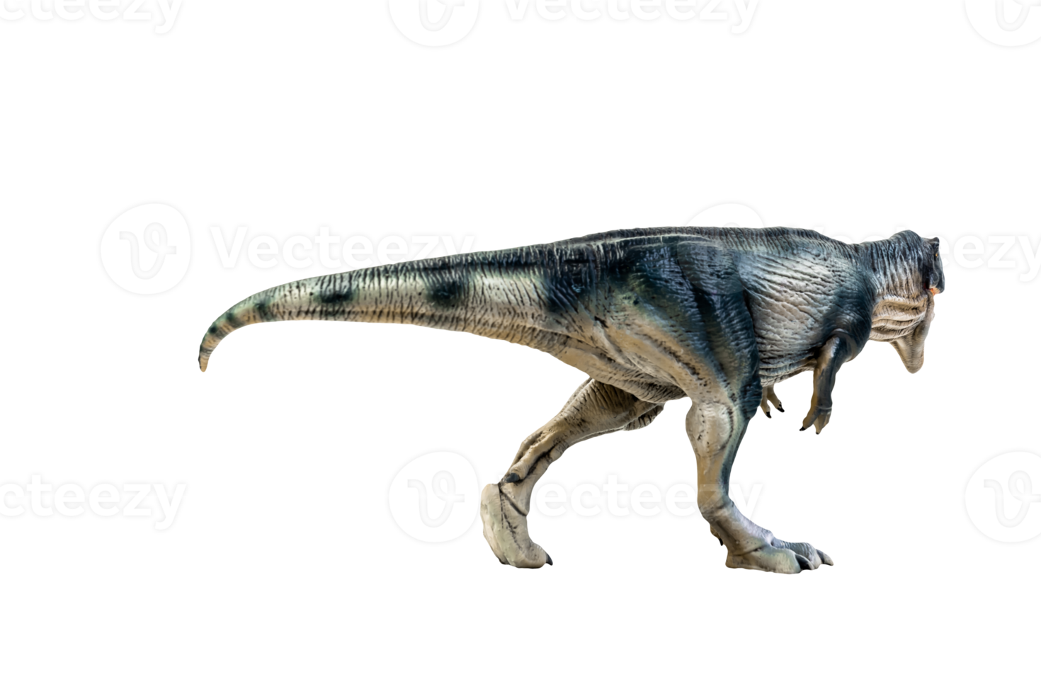 dinosaurier, giganotosaurus auf isoliertem hintergrund png