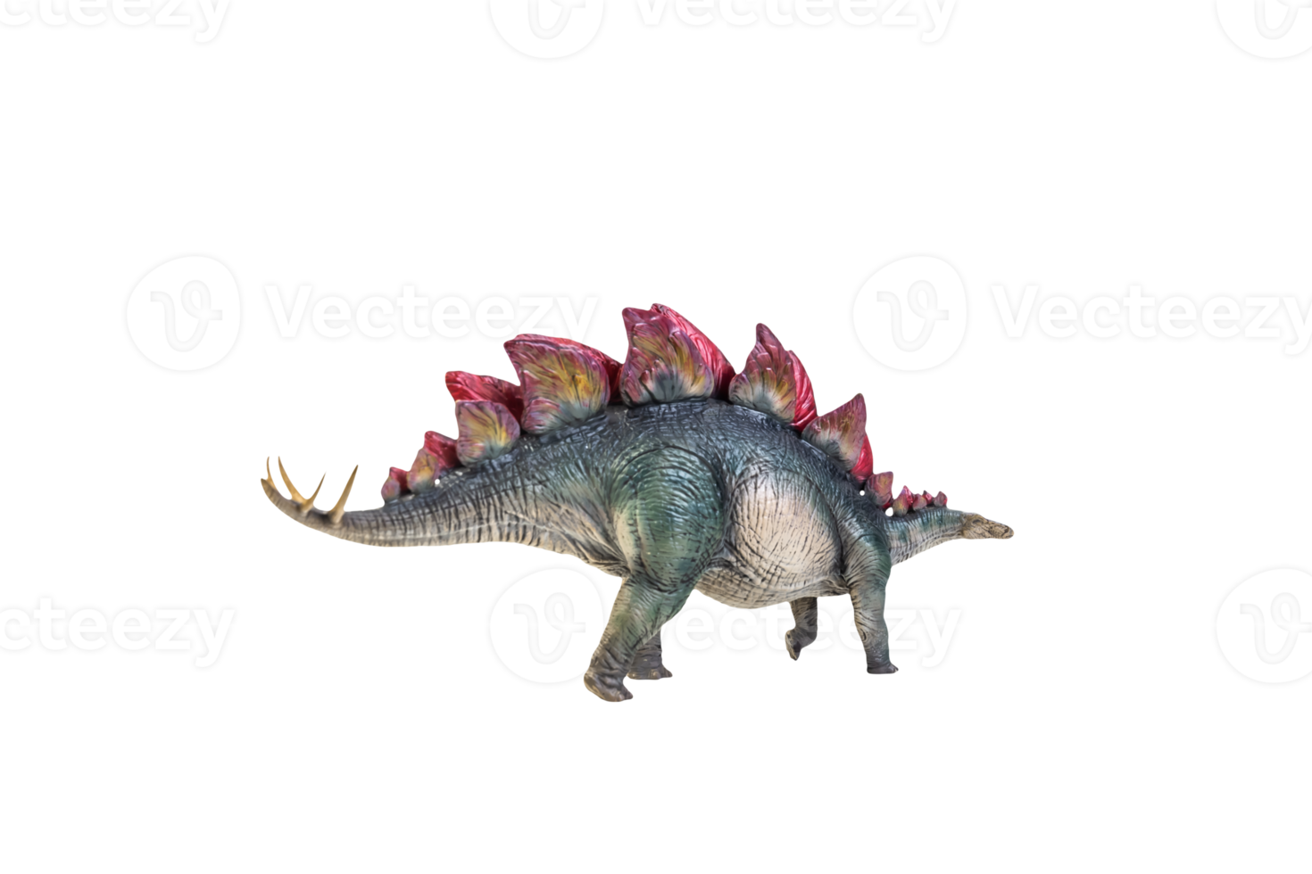 dinosaur , Stegosaurus isolated background  clipping path png