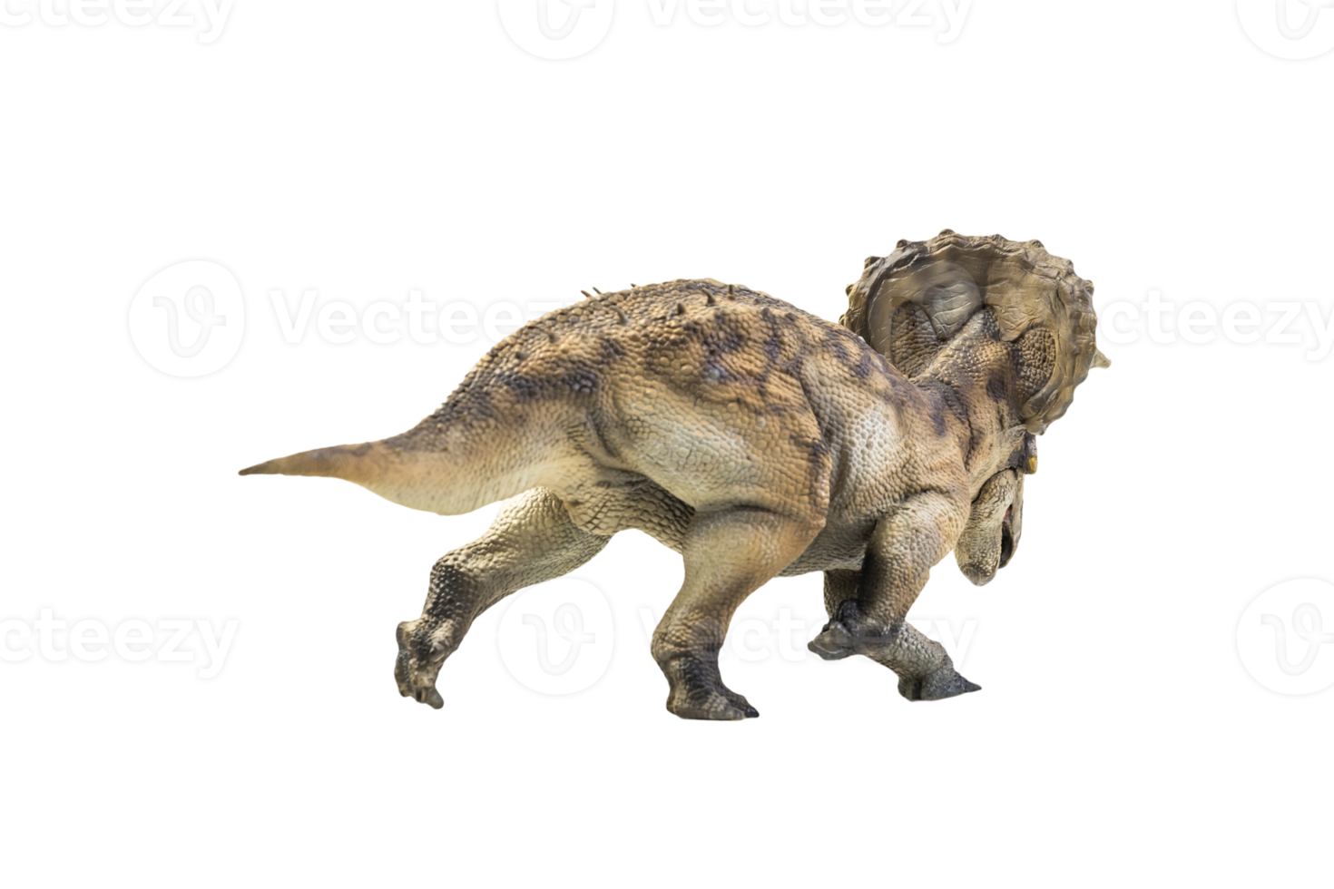 dinosaur , Triceratops on isolated background png