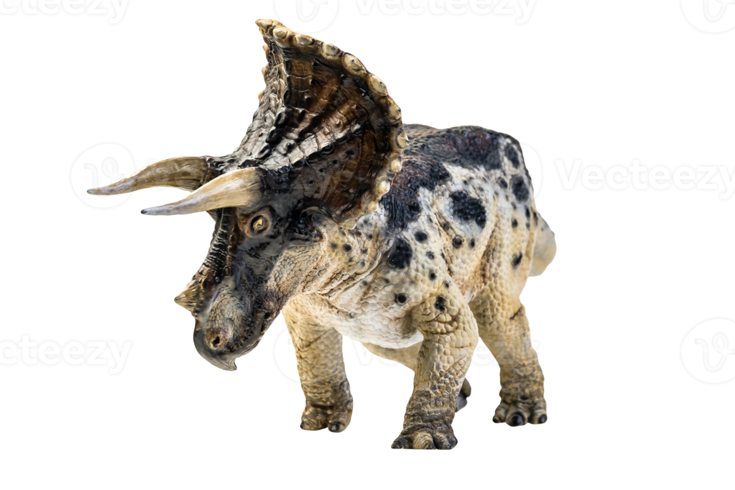 dinosaur , Triceratops on isolated background png