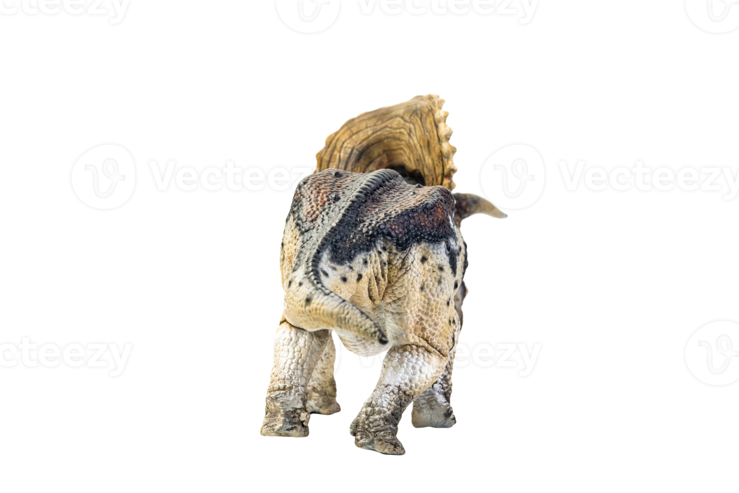 dinosaur , Triceratops on isolated background png