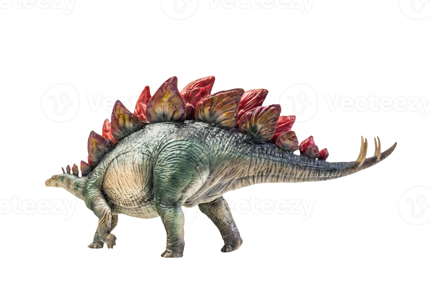 dinosaur , Stegosaurus isolated background  clipping path png