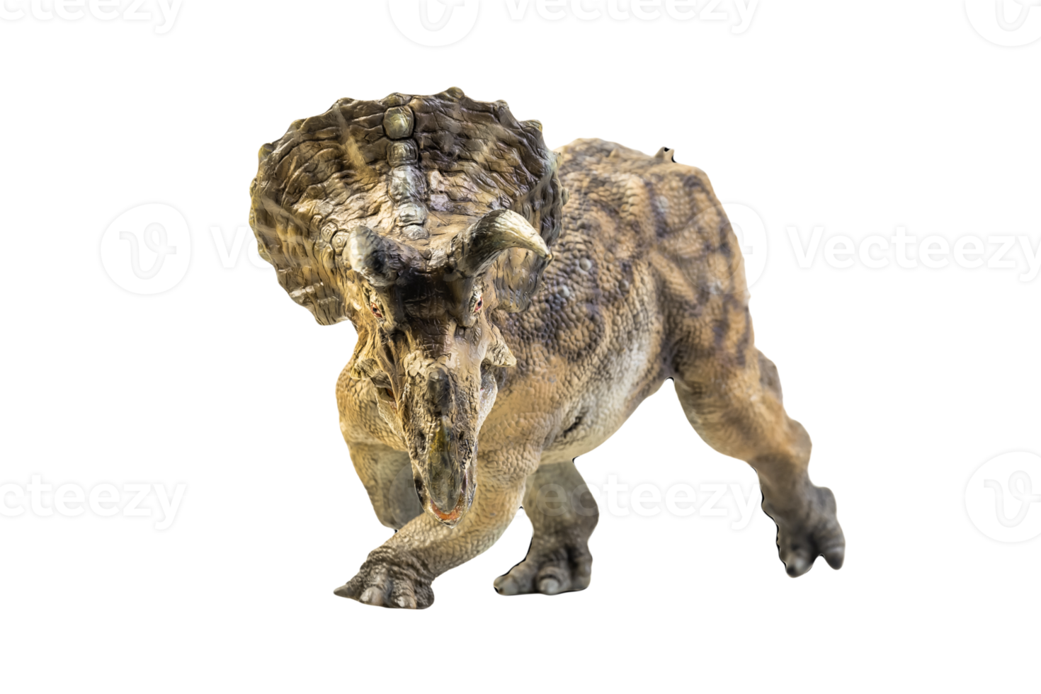 dinosaur , Triceratops on isolated background png