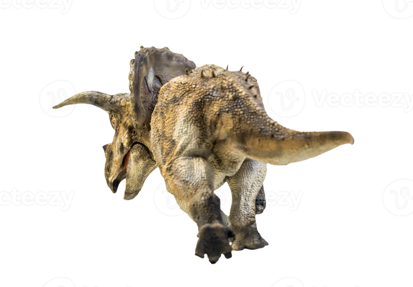 dinosaur , Triceratops on isolated background png