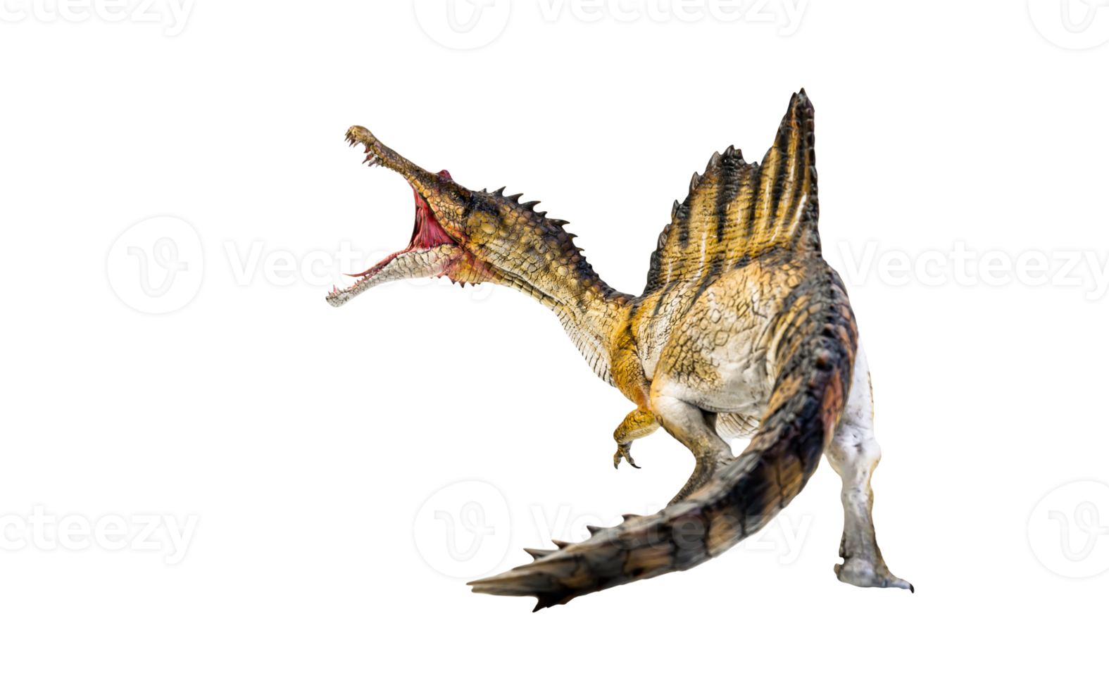 dinosaurie , spinosaurus isolerat bakgrund png