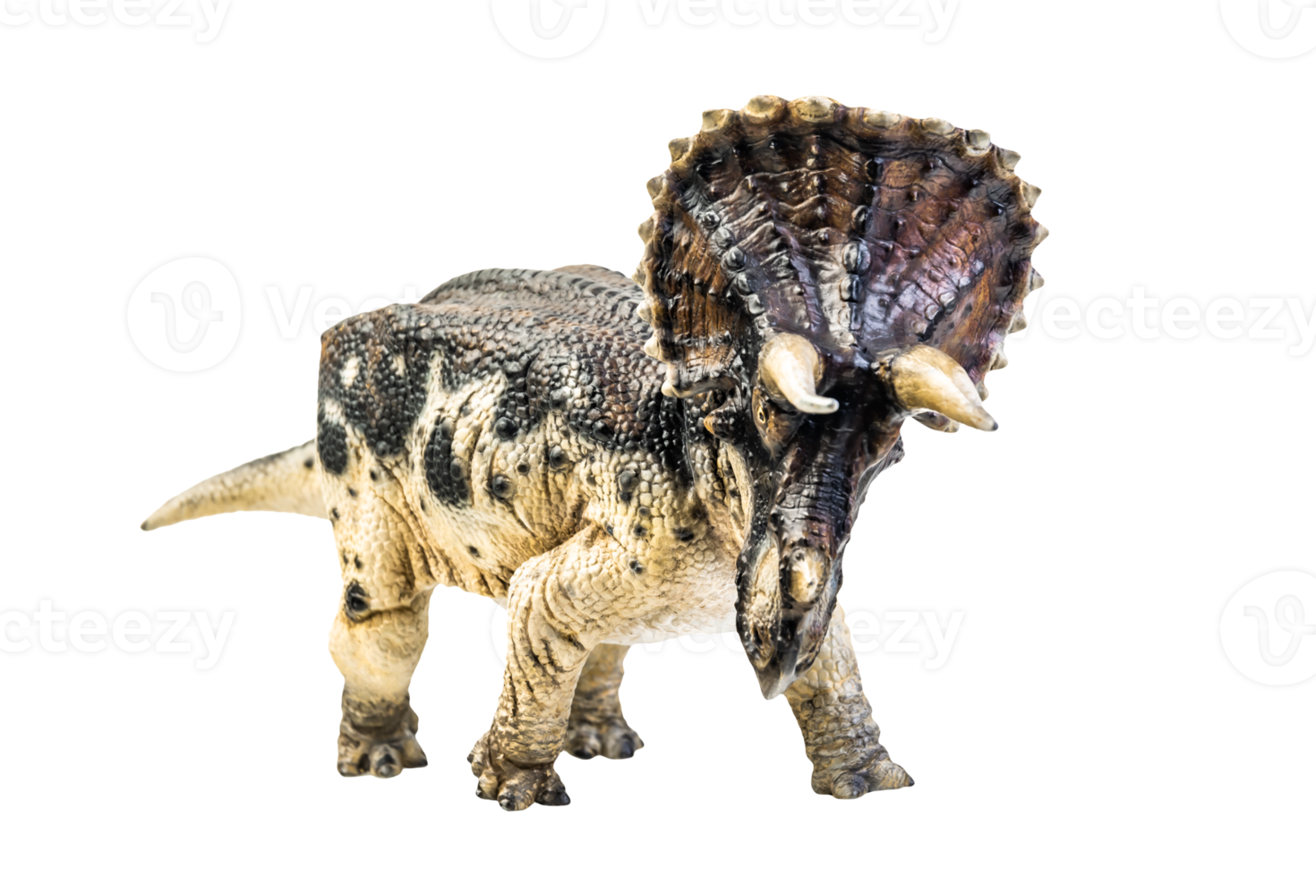 dinosaur , Triceratops on isolated background png