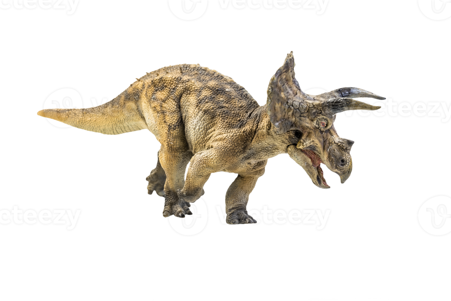 dinosaur , Triceratops on isolated background png