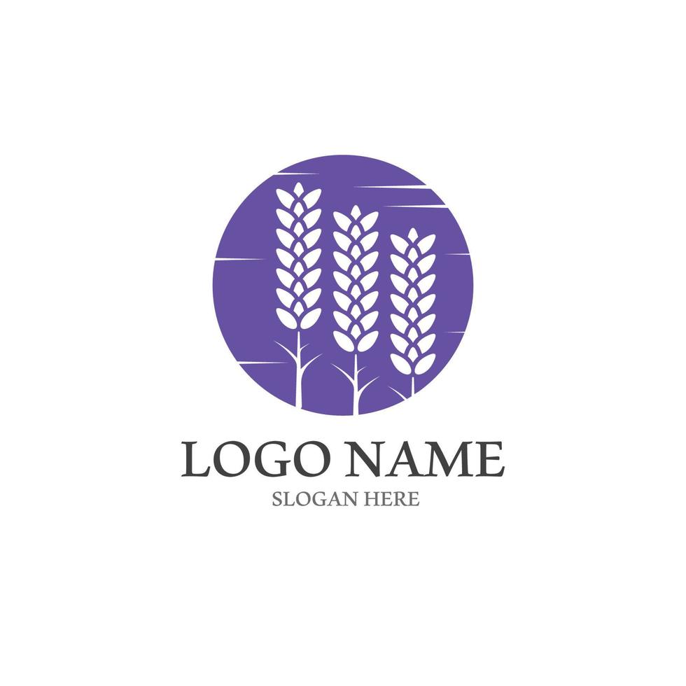 Fresh Lavender flower logo vector