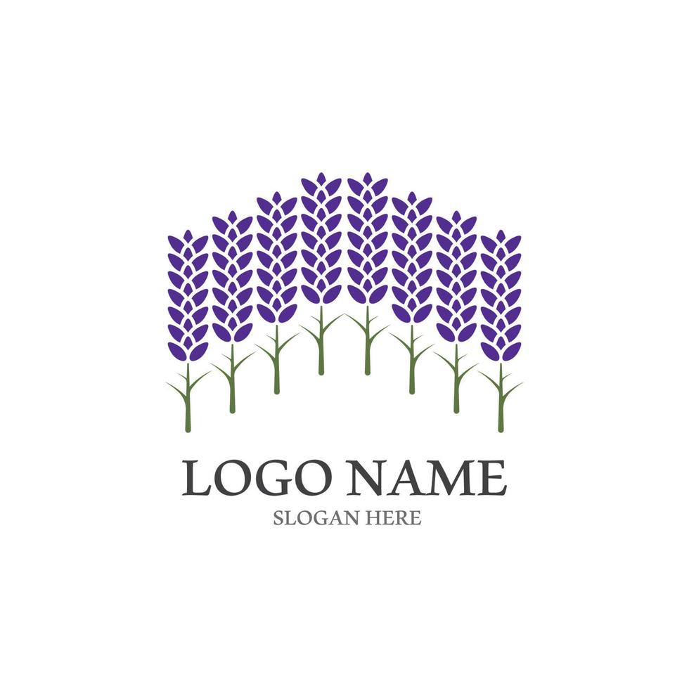 Fresh Lavender flower logo vector