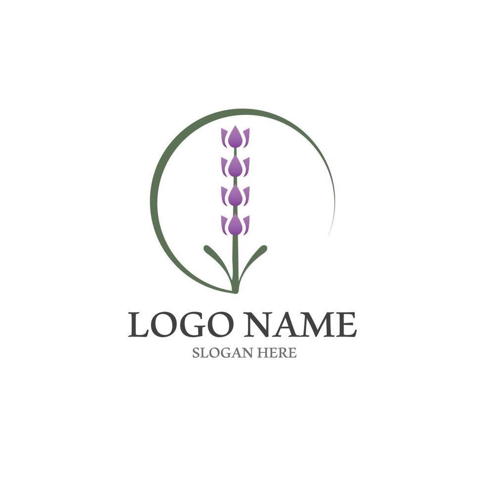 Fresh Lavender flower logo vector