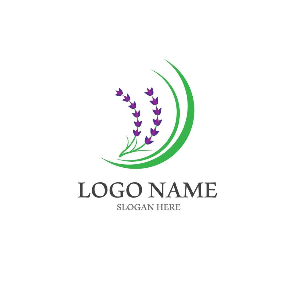 Fresh Lavender flower logo vector