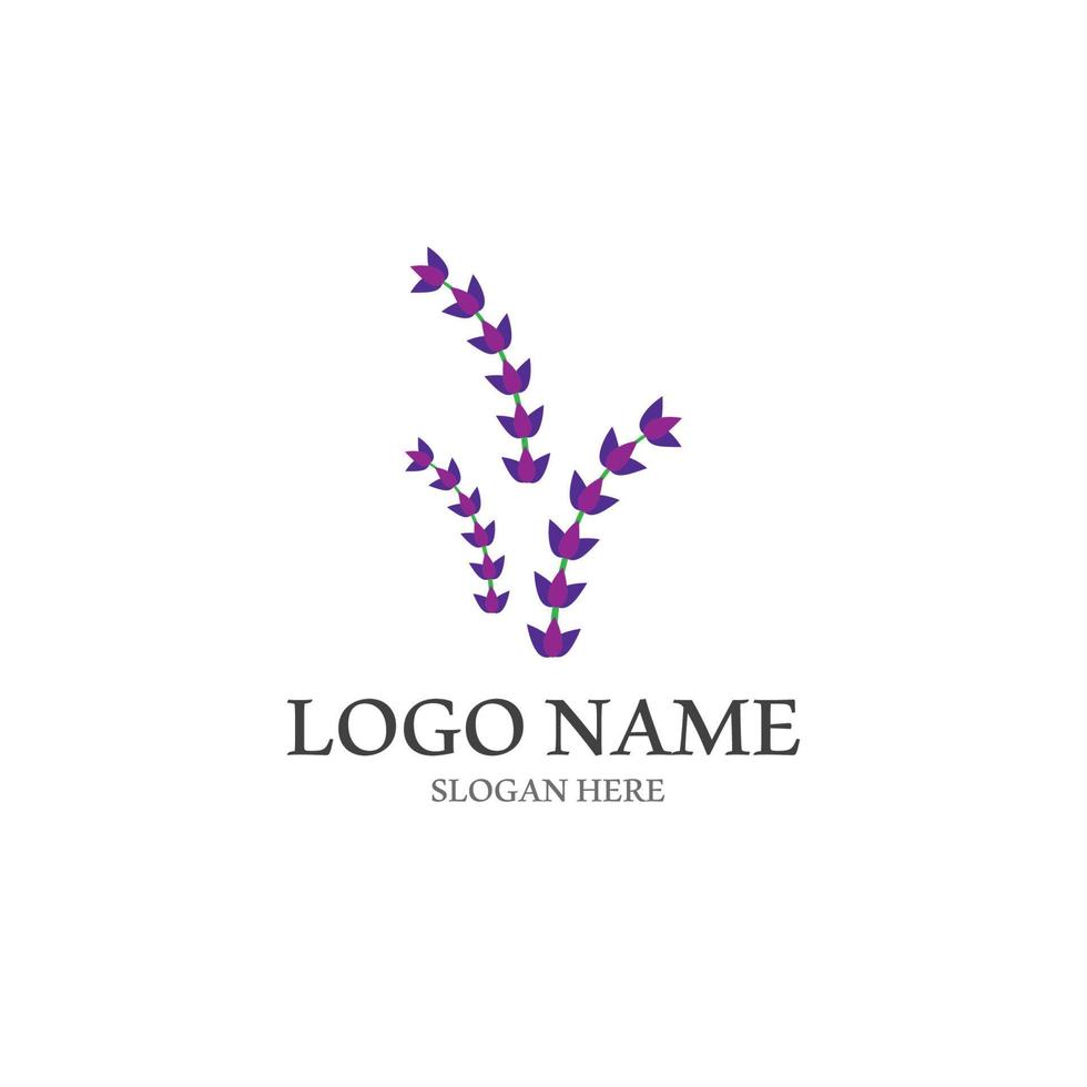 Fresh Lavender flower logo vector