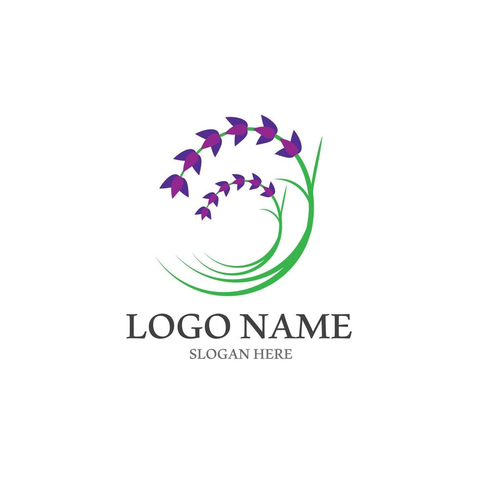 Fresh Lavender flower logo vector