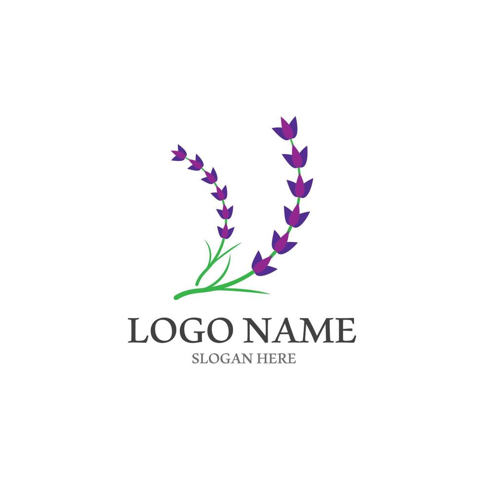 Fresh Lavender flower logo vector