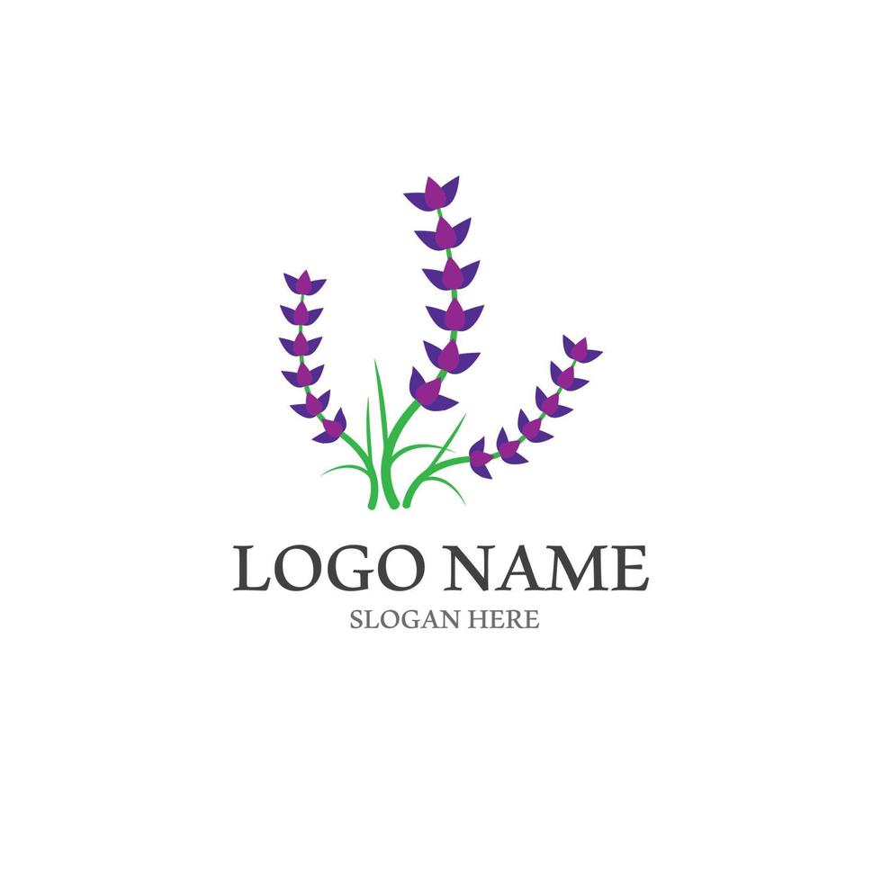 Fresh Lavender flower logo vector