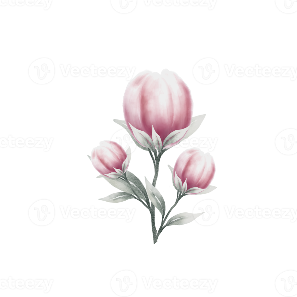 Romantic Watercolor Flowers Png Download 39852578 Fre - vrogue.co