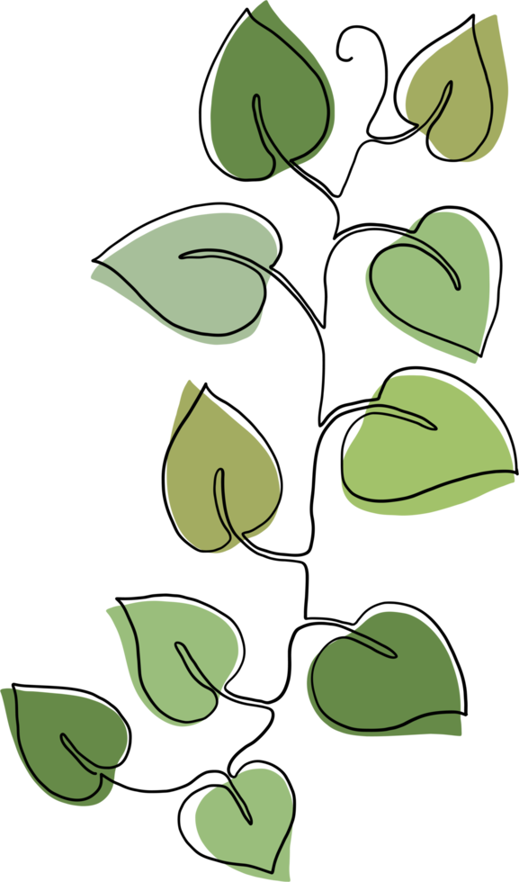 simplicity ivy continuous freehand drawing. png