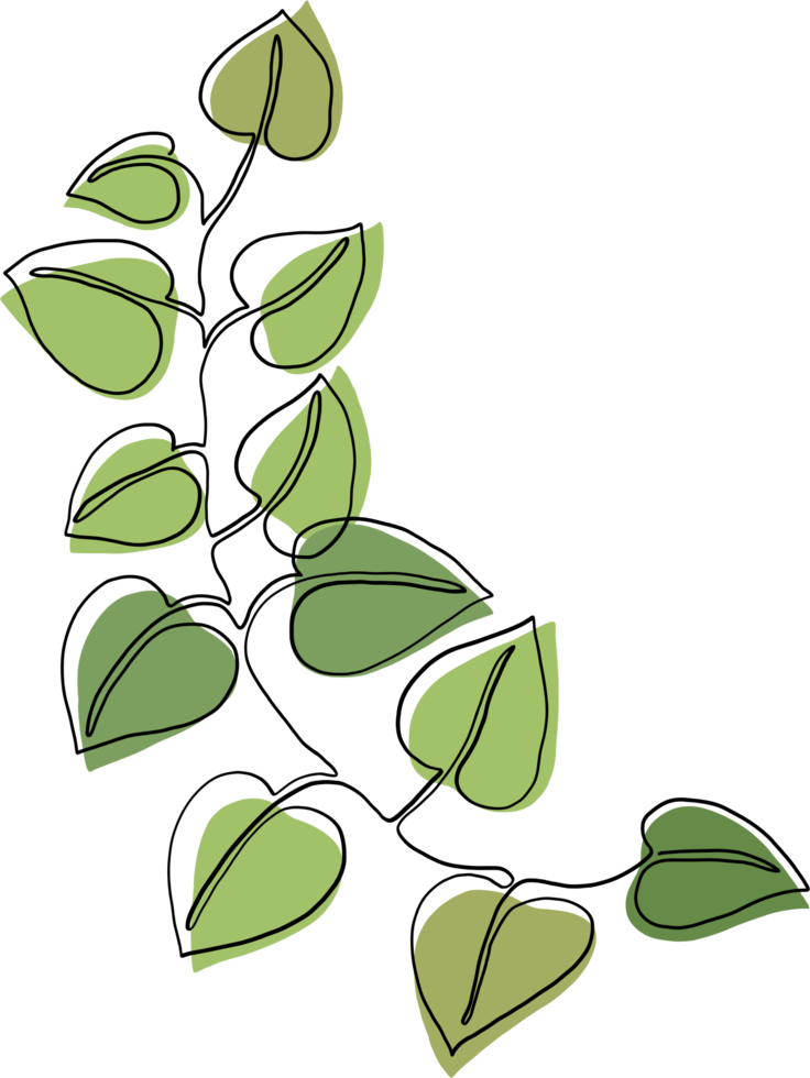 simplicity ivy continuous freehand drawing. png