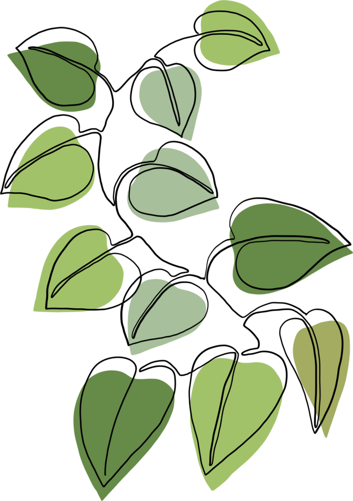 simplicity ivy continuous freehand drawing. png