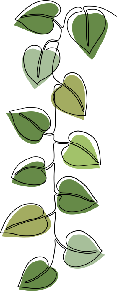 simplicity ivy continuous freehand drawing. png