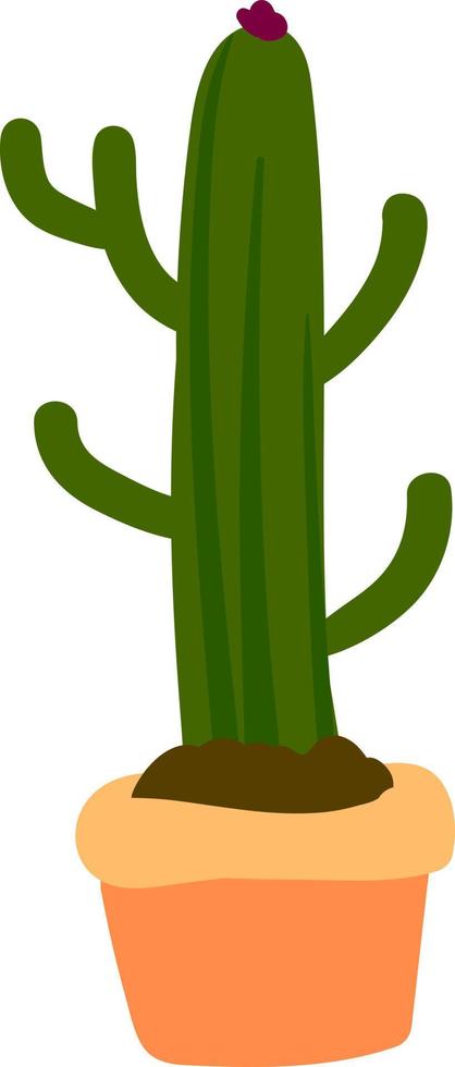 Long cactus in pot, illustration, vector on white background.