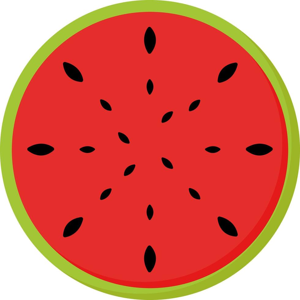 Watermelon, illustration, vector on white background.