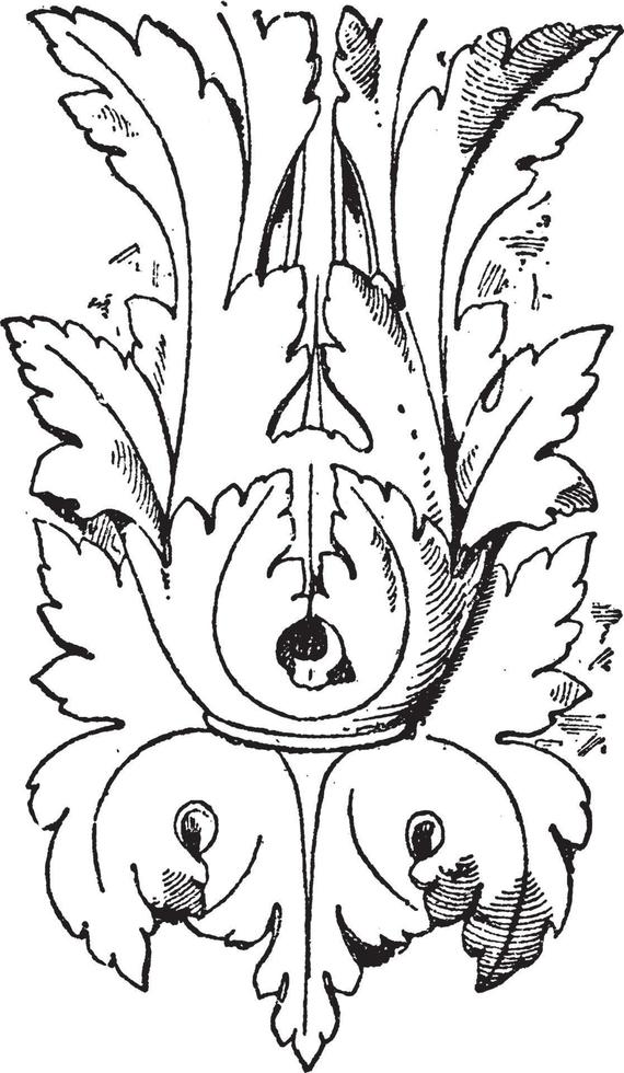 Modern Leaf design is found in Louvre, vintage engraving. vector