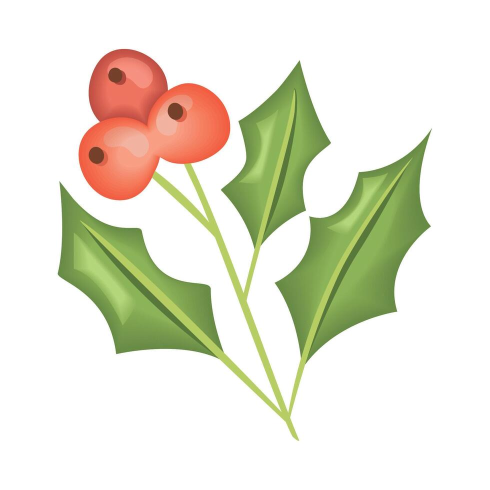 mistletoe seeds and leafs vector