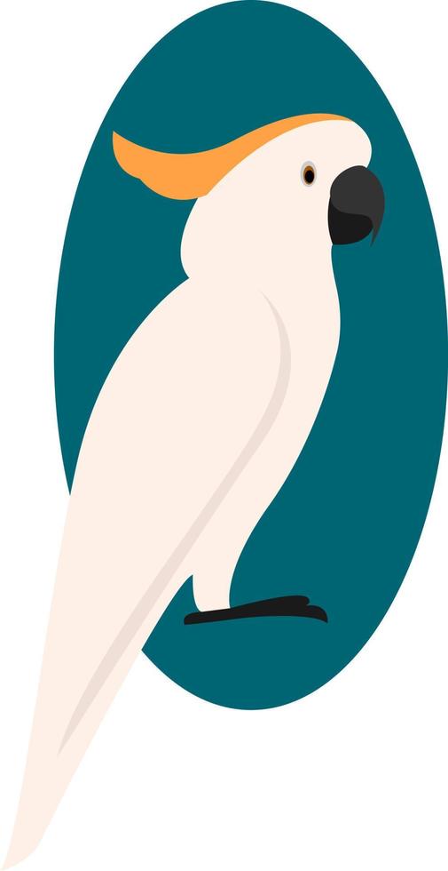 White parrot, illustration, vector on white background.