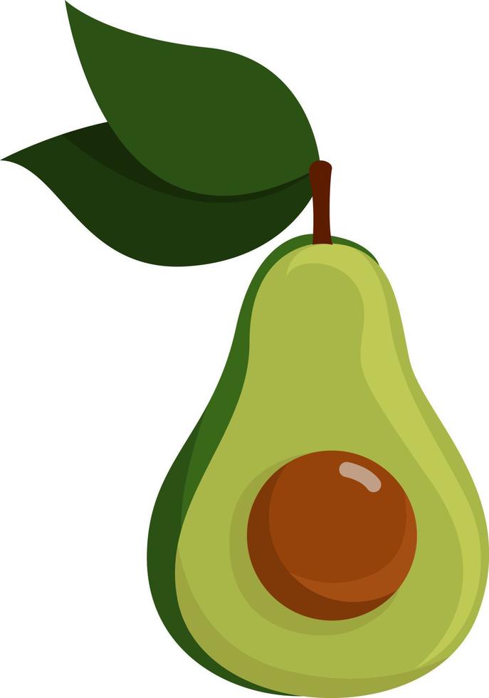 aguacate por la mitad, ilustración, vector sobre fondo blanco