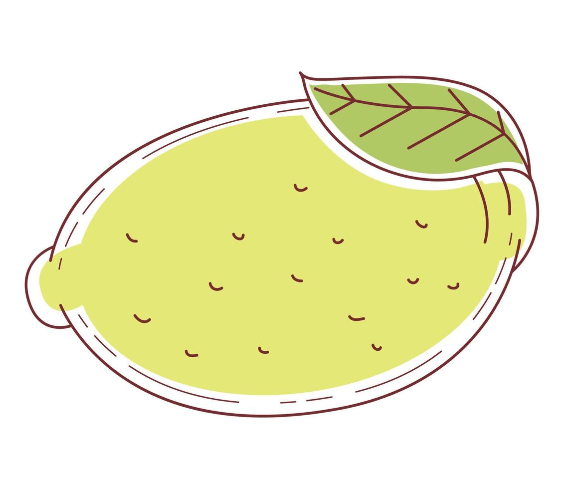 fresh lemon fruit healthy vector