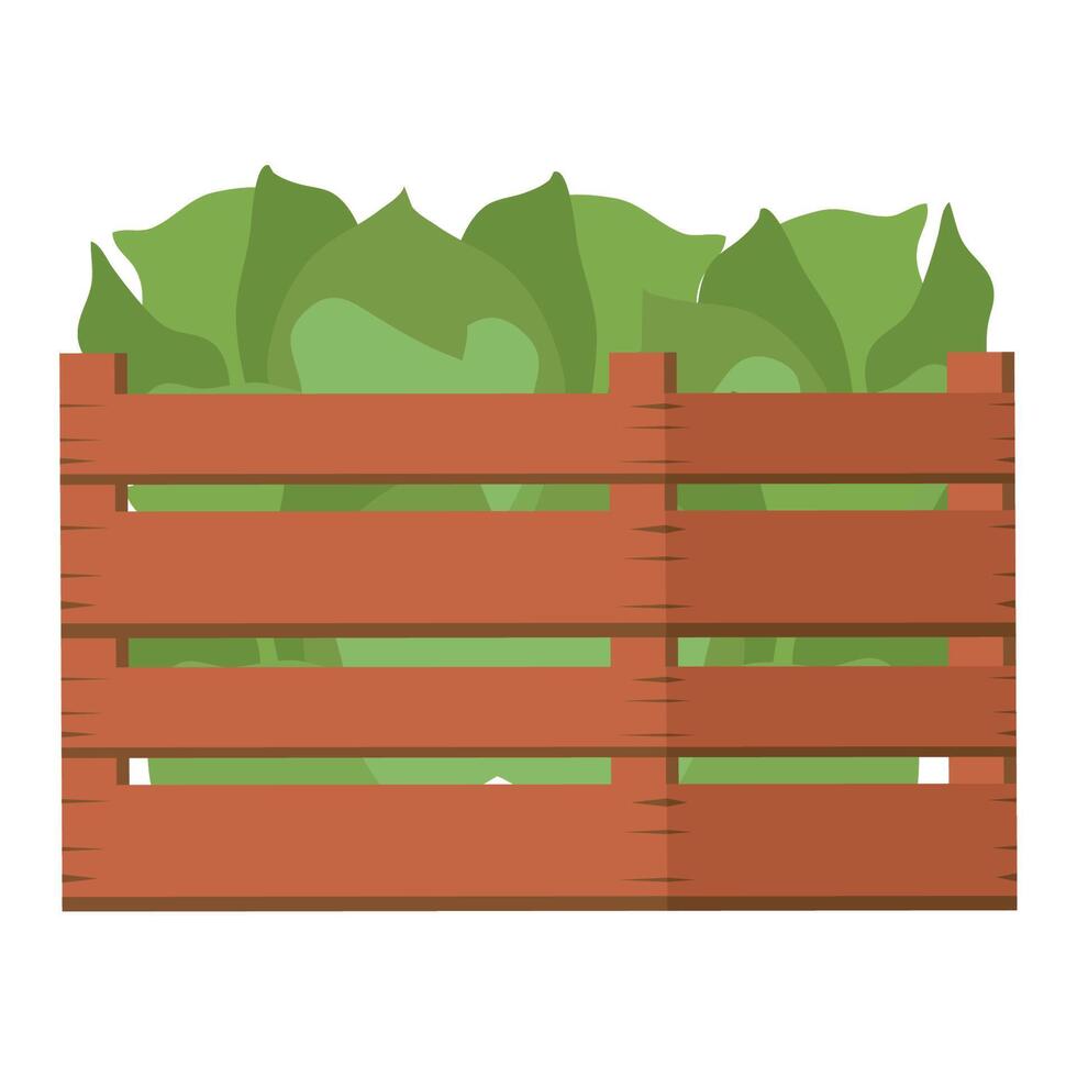 wooden basket with lettuces vector