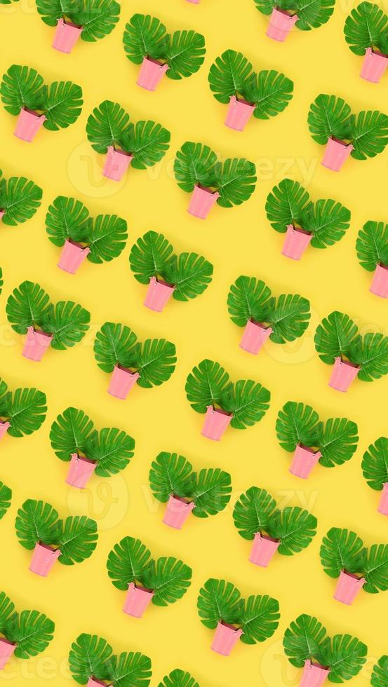 Tropical palm monstera leaves lies in a pastel pails on a colored background. Flat lay trendy minimal pattern. Top view photo