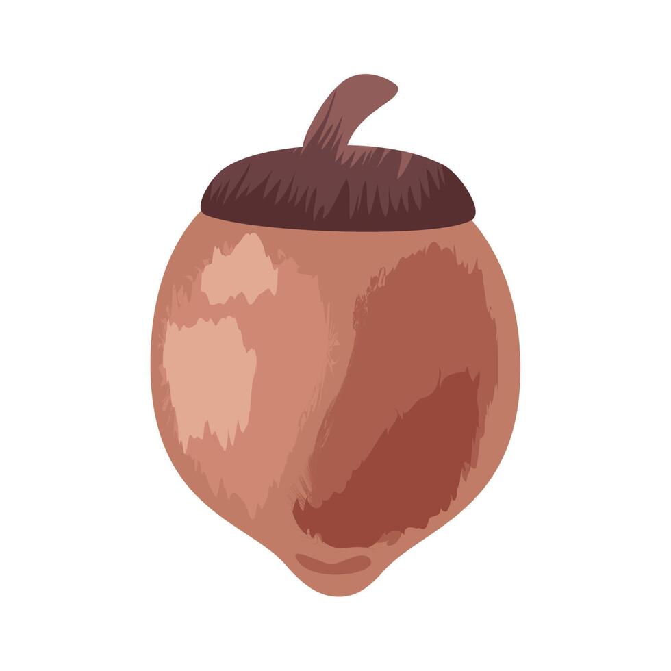 acorn seed autumn season vector