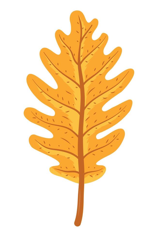 yellow leaf autumnal foliage vector