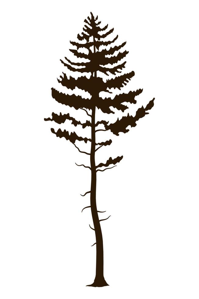 pine tree plant forest silhouette vector