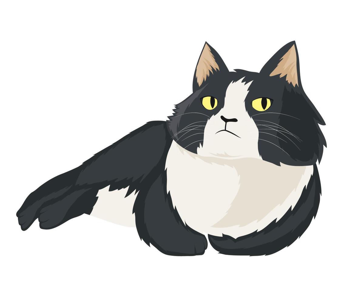 american curl little cat vector