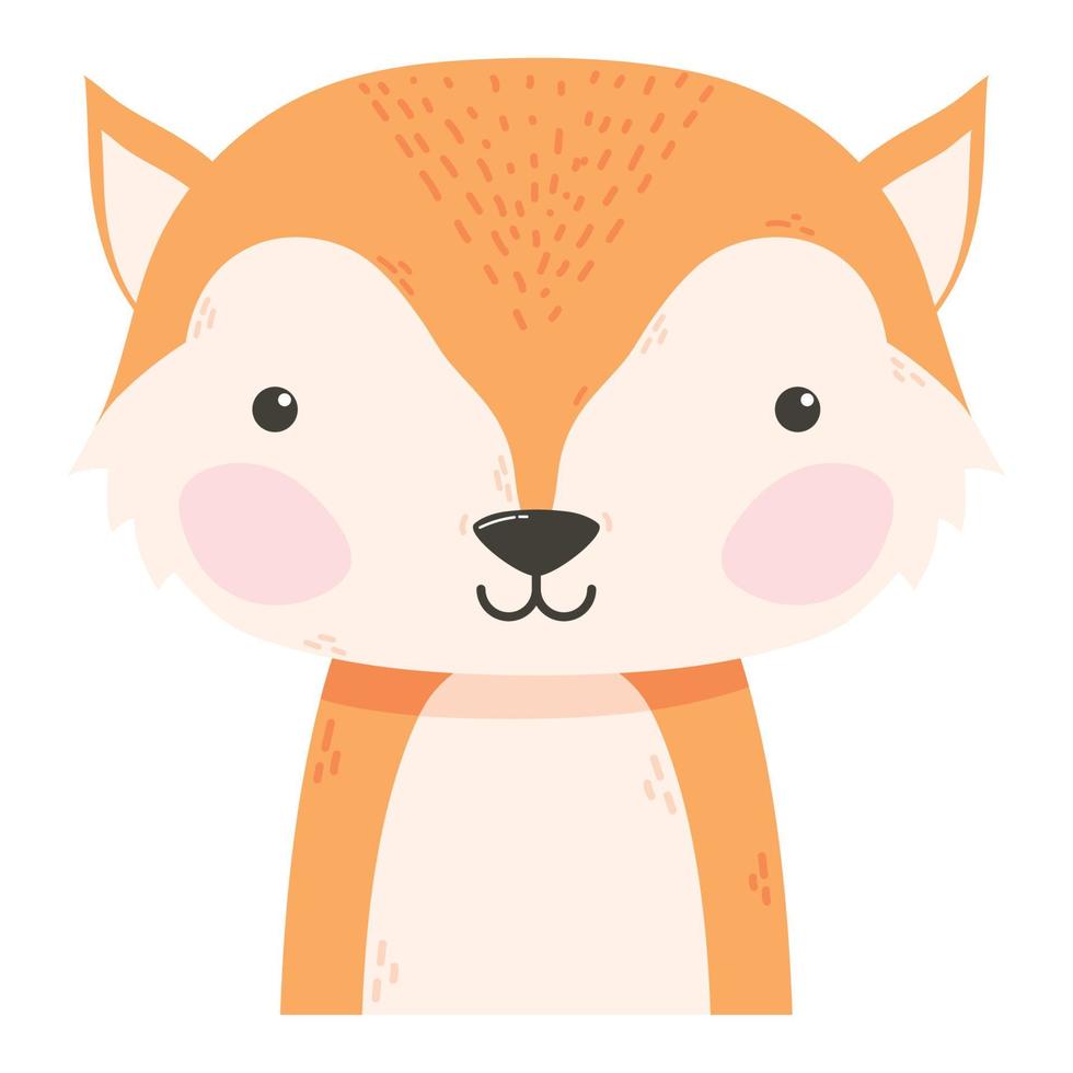 cute fox animal vector