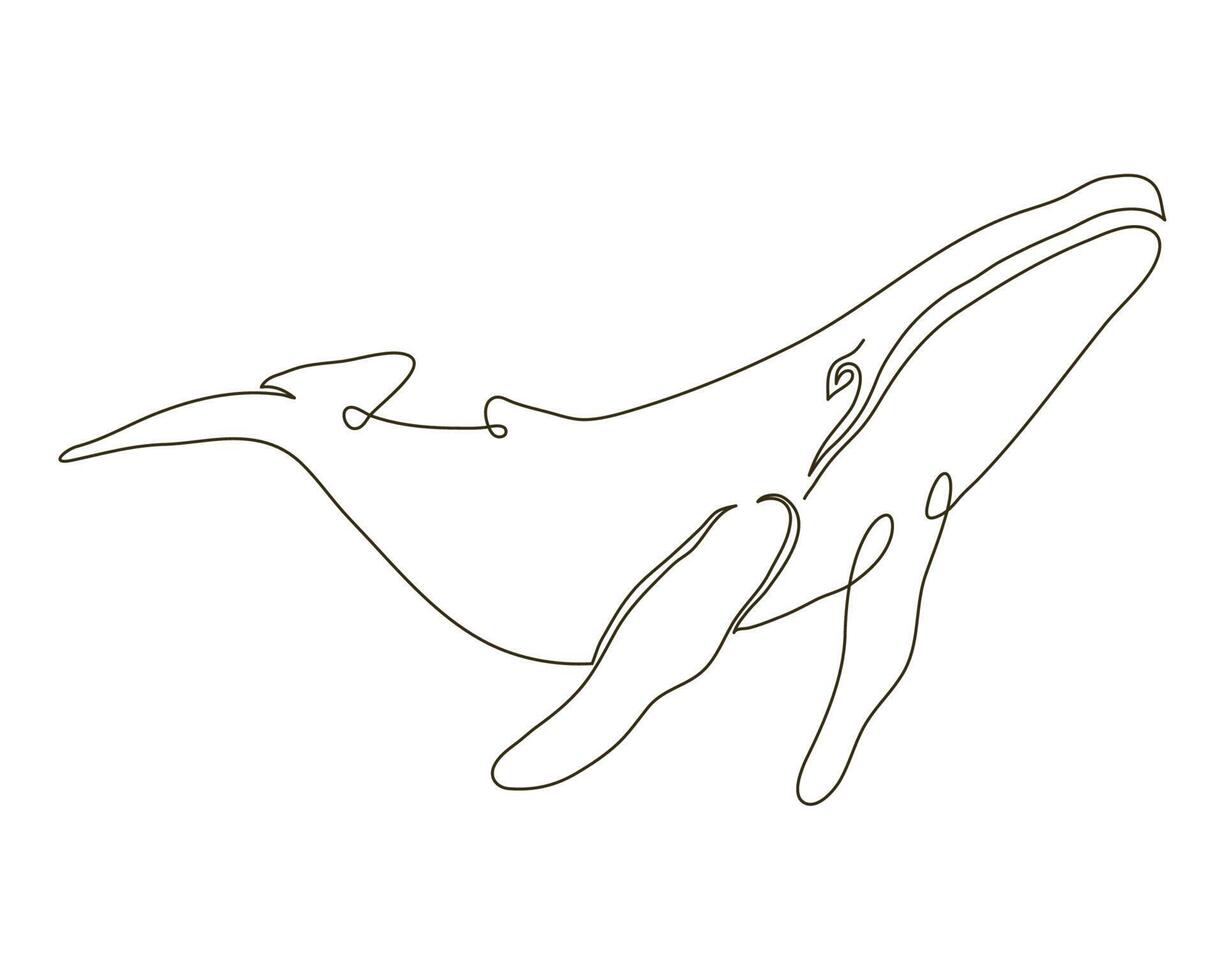 wild whale line drawn vector
