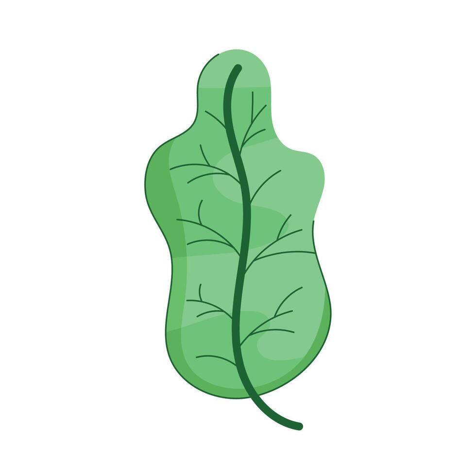 exotic leave foliage plant vector