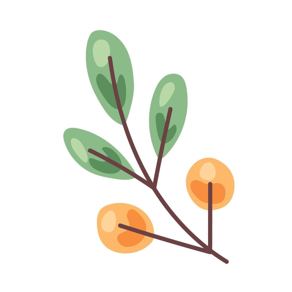 branch with leafs and seeds vector